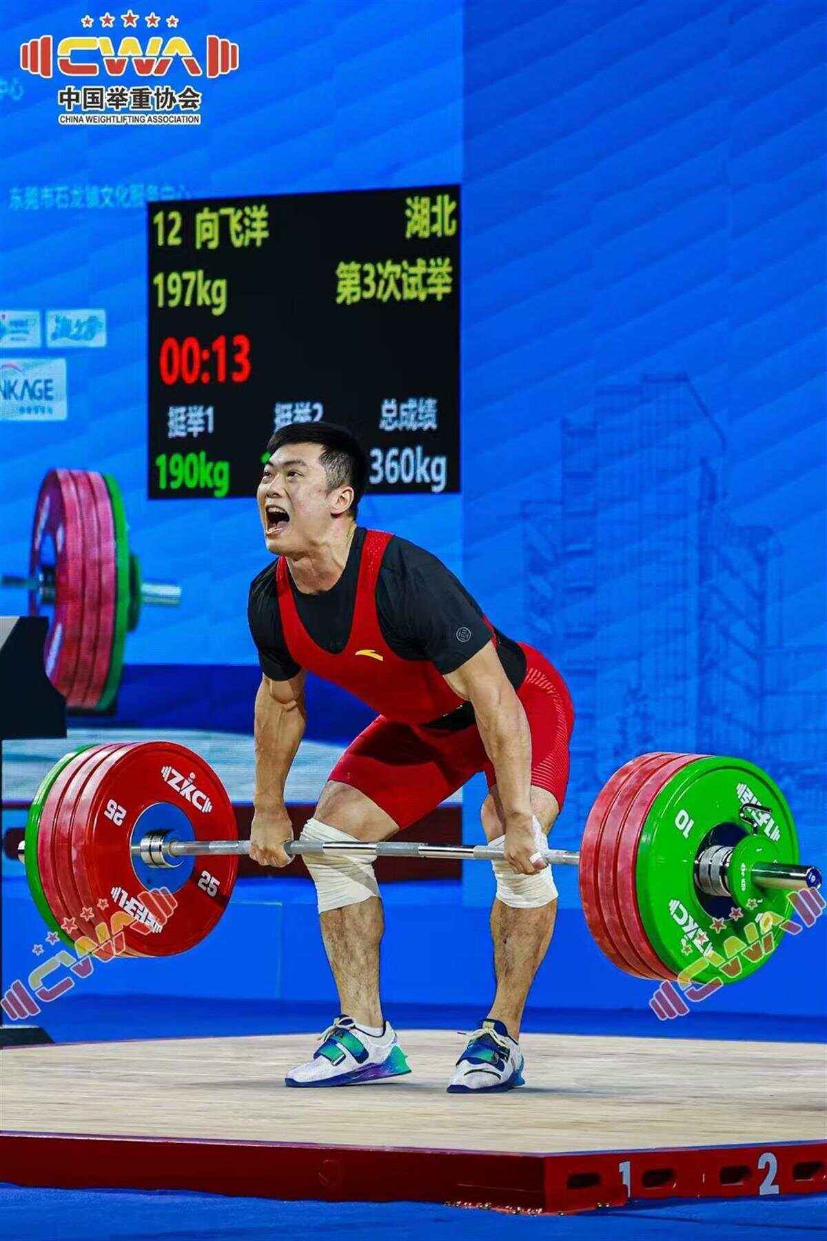 大洋洲运动员勇攀巅峰,收获丰硕成绩-金年会下载